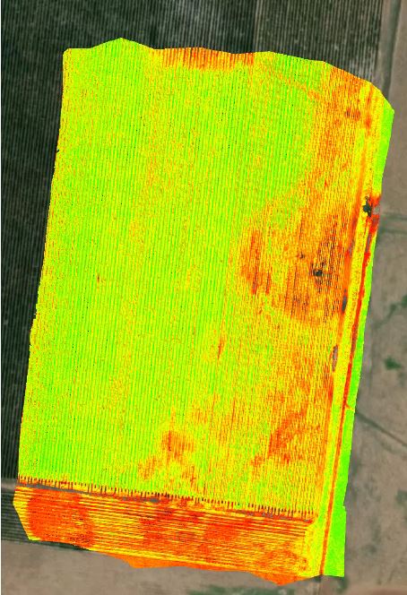 Using Drones for Plant Health Mapping